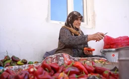 Gaziantep’te Kırsal Kadınlar Ev Ekonomisine Katkı Sağlıyor