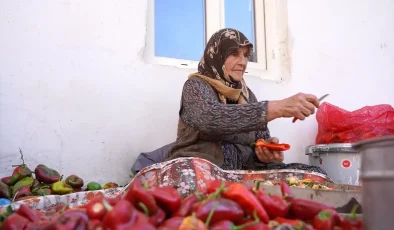 Gaziantep’te Kırsal Kadınlar Ev Ekonomisine Katkı Sağlıyor