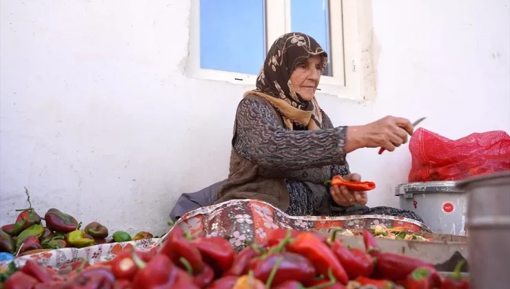 Gaziantep’te Kırsal Kadınlar Ev Ekonomisine Katkı Sağlıyor